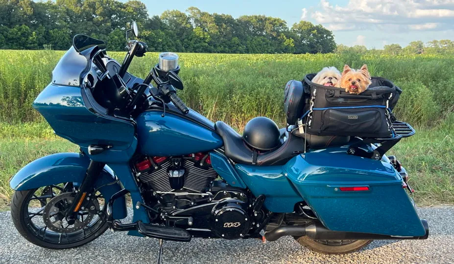 The 2022 Harley-Davidson Road Glide Special model 2022